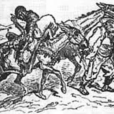 Timeline: don quijote de la mancha 5