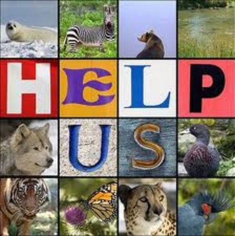 Endangered species act