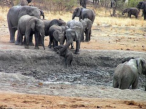 TEORÍA DEL ALTRUISMO