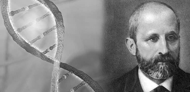 Friedrich Miescher da nombre al DNA