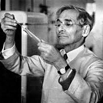 Phoebus Levene concluyó el análisis clínico del DNA.