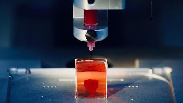 Working 3D Printed Organs Used