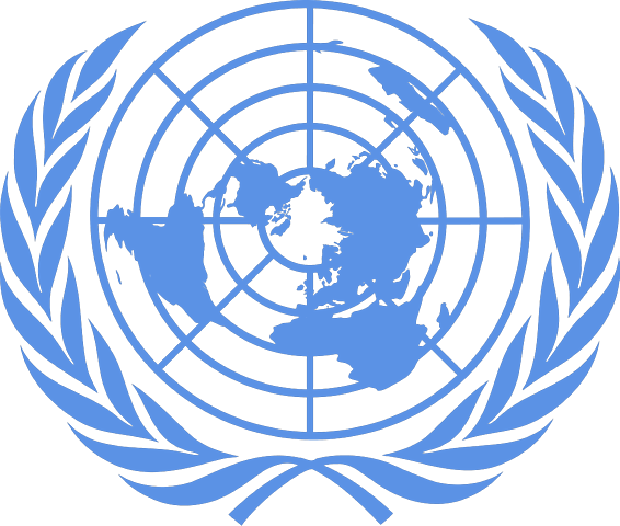 LA FORMACIÓN DE LA ONU