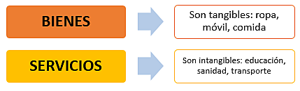 Actividades Empresariales de Bienes y Servicios