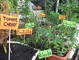 Plan Especial de Educación Rural