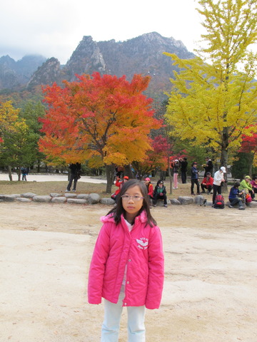 Won a lottery to Korea for FREE