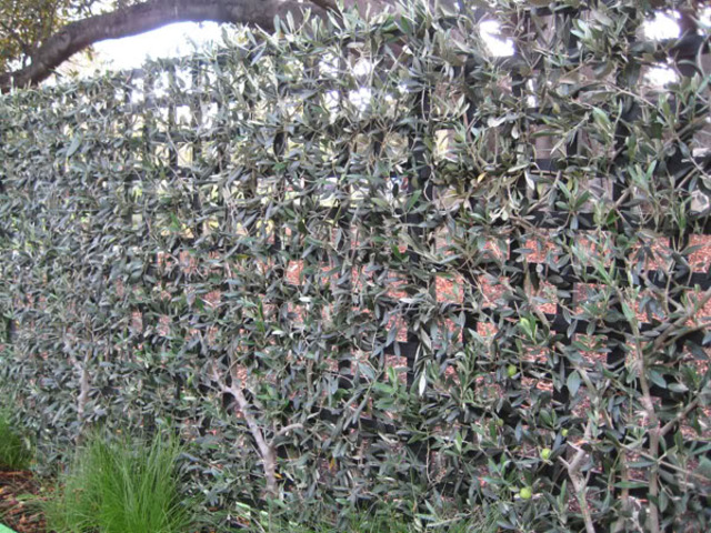 RACV Home Show - 2007