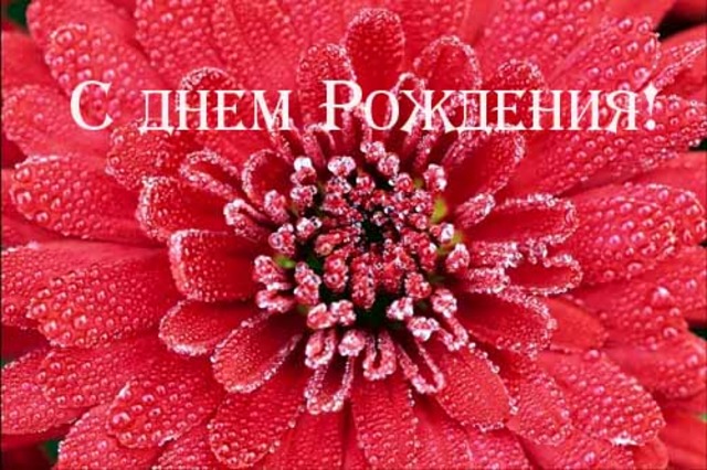 Олеся  Екимова