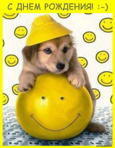 София Дробот