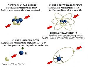 Forces nuclears