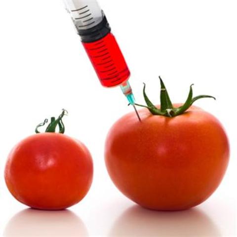 Genetically Modified food