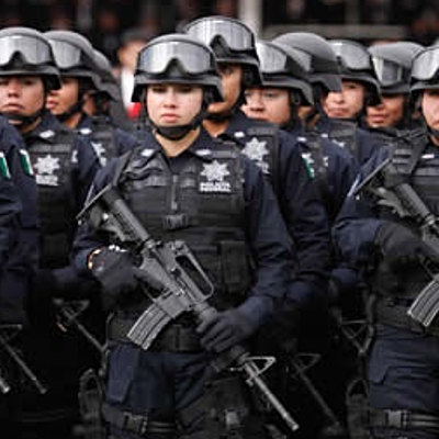 Timeline: Actividad 1. Instituciones de seguridad pública.