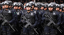 Timeline: Actividad 1. Instituciones de seguridad pública.