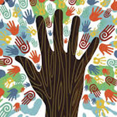 Timeline: BIEN COMUN