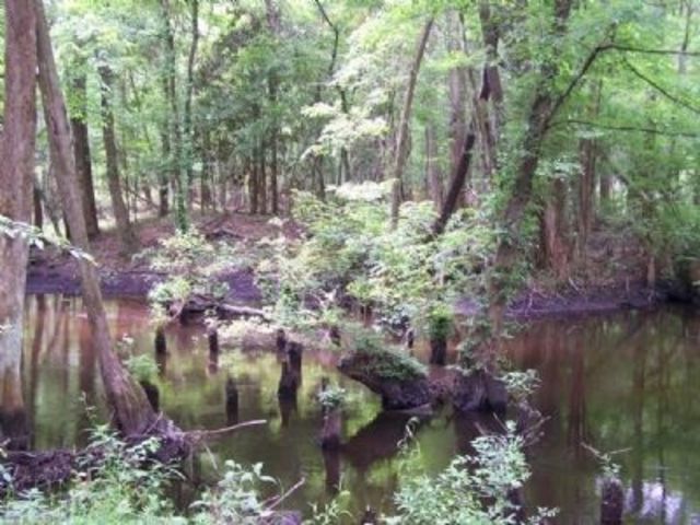 Jenkin's Ferry Civil War, Arkansas
