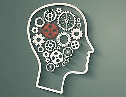 Brain and intelligence