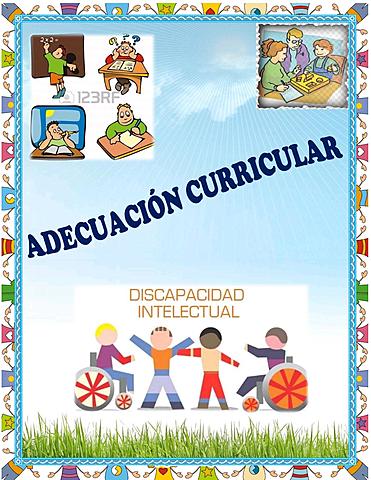 PRIMERAS ADECUACIONES CURRICULARES