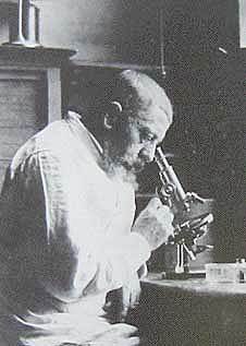 Joseph Jules Dejerine