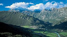 Timeline: POLETJE 2019