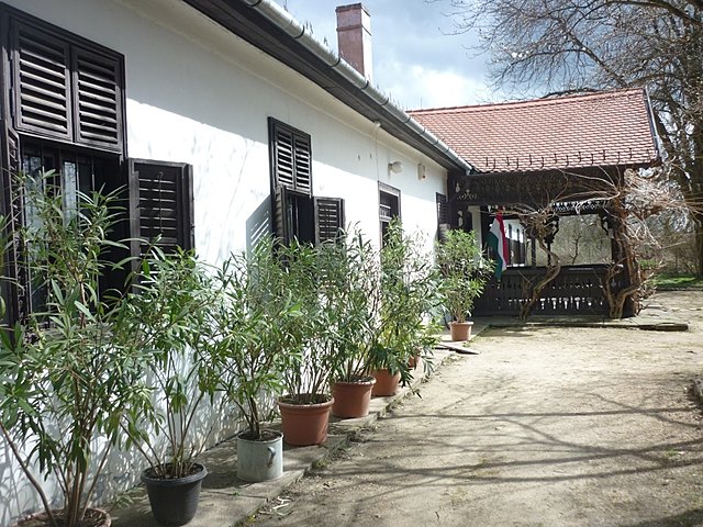 Niklára költöznek