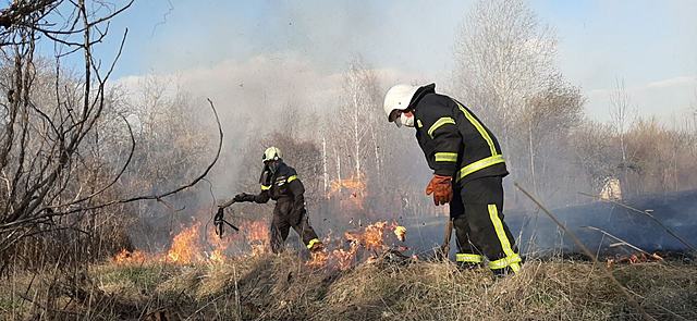 Пожежа триває. Вітер посилюється
