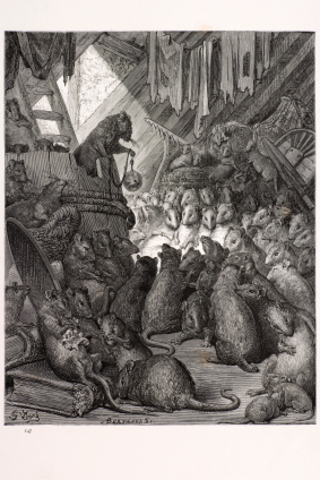 the rat gets on the ships