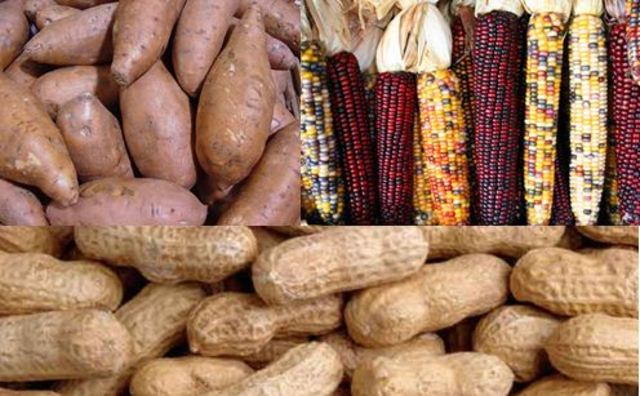 Introduction of Foreign Crops