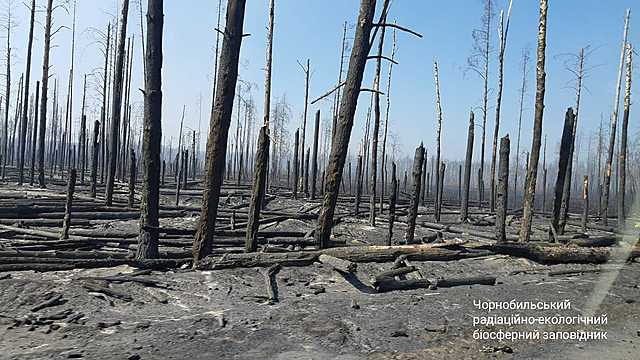 Пожежу локалізовано