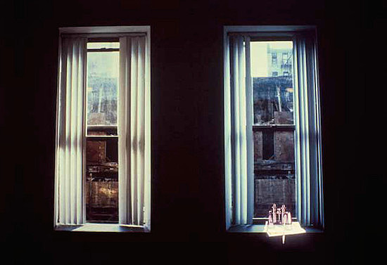 The Real Estate Projection, Hal Bromm