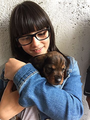 Un nou integrant a la família