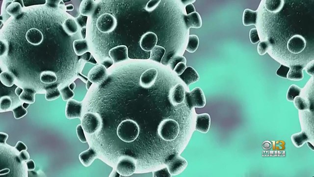 Первое появление болезни в Европе