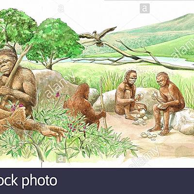 Timeline: EL  BIEN COMUN