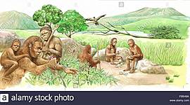 Timeline: EL  BIEN COMUN