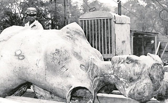 Sismo de 7.5 grados provoca caída del Ángel de la Independencia