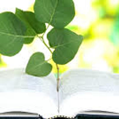 Timeline: Antecedentes de la Educación ambiental