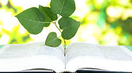 Timeline: Antecedentes de la Educación ambiental