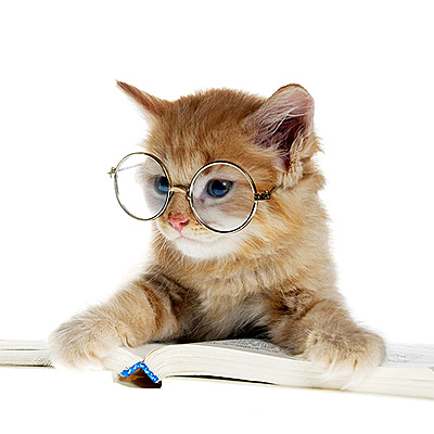 Timeline: Eje cronológico filosofía