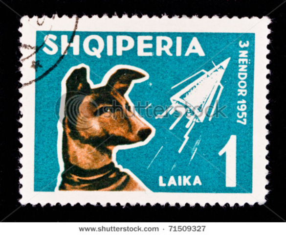 First animal in space