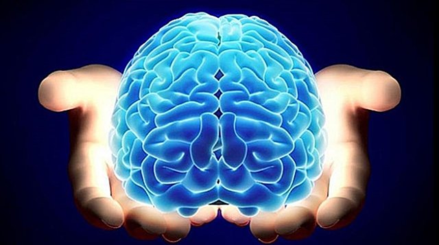 Modernidad: Concepto de mente (final)