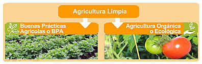 agricultura limpia