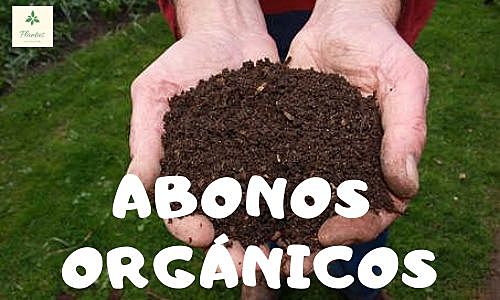 Abono Orgánico