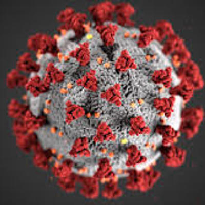 Timeline: Timeline of Coronavirus Pandemic and U.S. Response