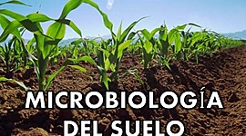Timeline: Desarrollos de la Microbiología del suelo desde 1960-2001.