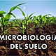 Microbiologa del suelo 1 638