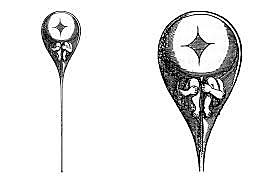 Antón Van Leeuwenhoek (1674, 1777)