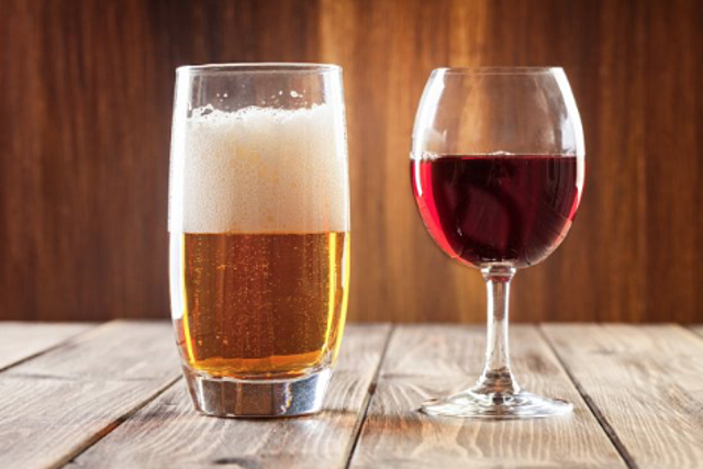 Desarrollo de la Fermentación