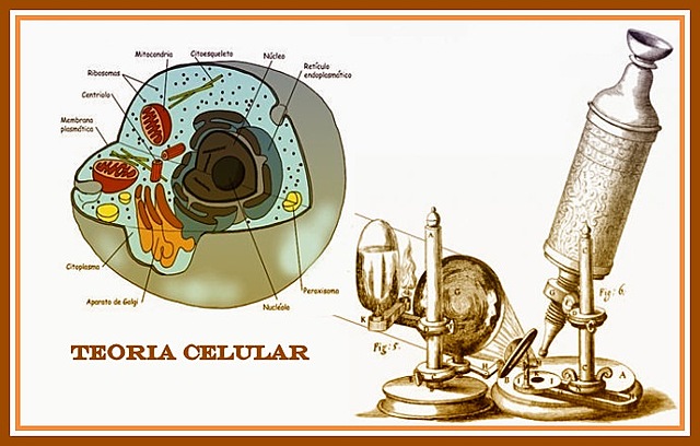Descubrimientos  ( 1827, 1831 y 1839 )