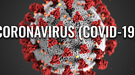 Timeline: Spread of Covid-19