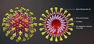Pneumonia now called Coronavirus