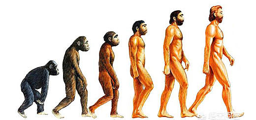 Origen del ser humano